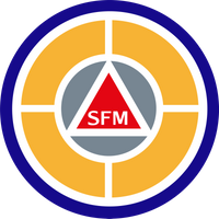 Siegel der Dilts Strategy Group für SFM-Ausbildungen